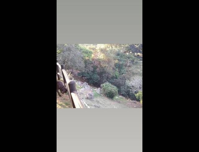 1 BEDROOM PROPERTY TO RENT IN BEREA WEST